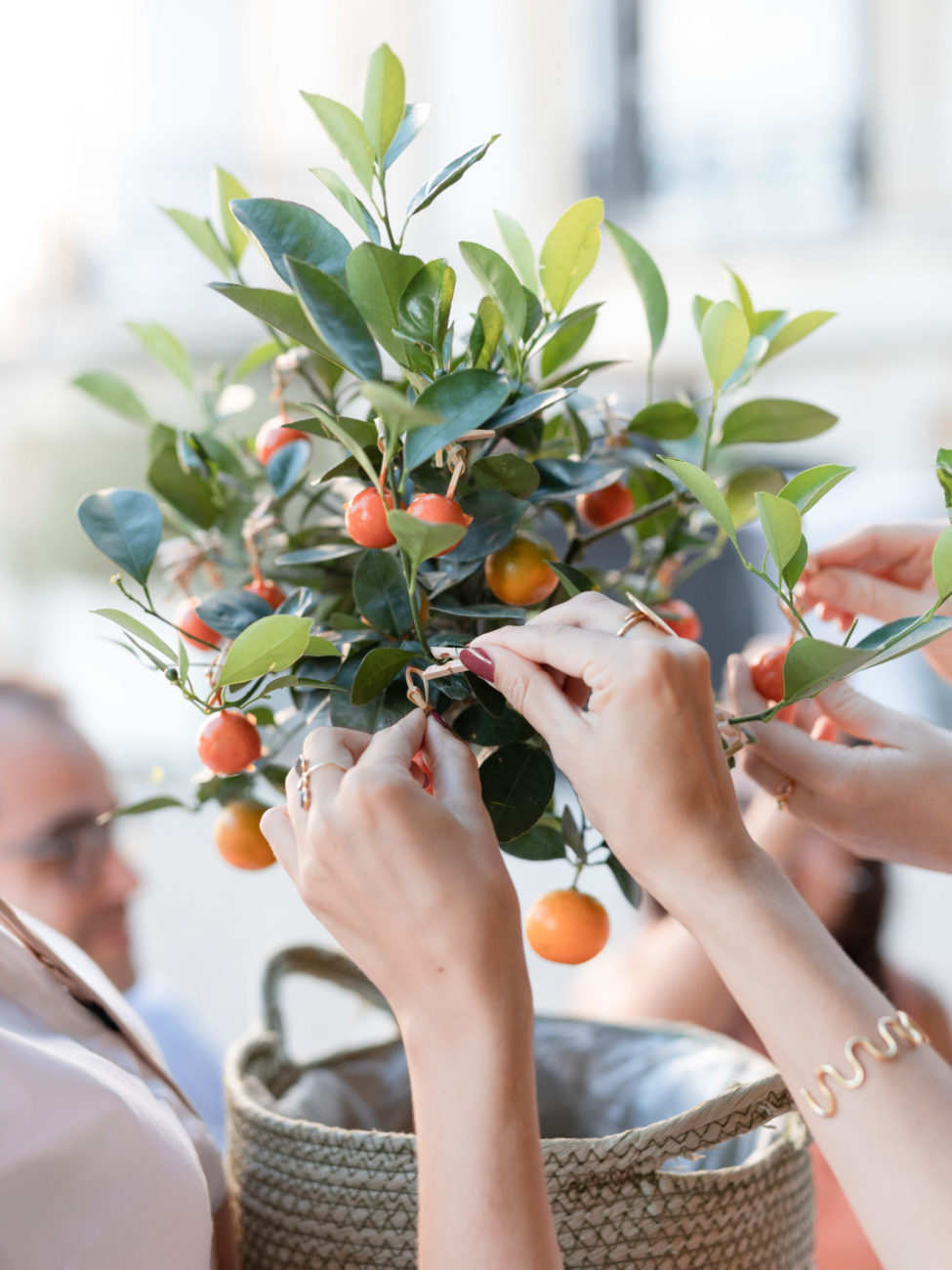Deux mains saisissent un amuse bouche sur un oranger, vin d'honneur lors d'un mariage au château de Santeny